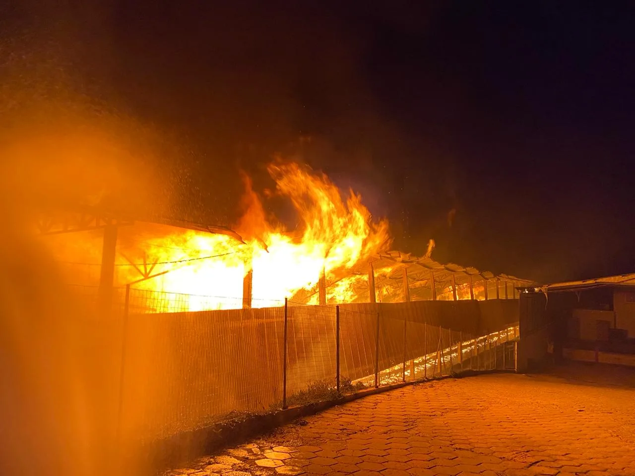 Incêndio destrói galpão de granja e deixa milhares de aves mortas em Santa Maria de Jetibá