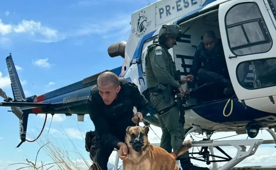 Polícia Penal realiza treinamento com cães em aeronaves no ES