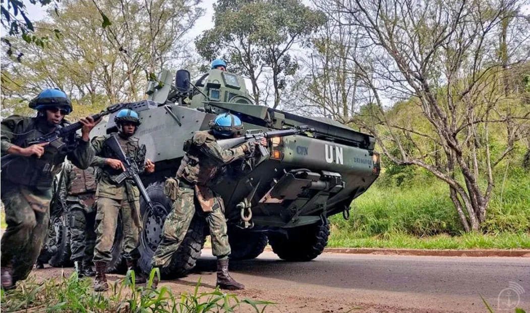 Fuzileiros navais fazem treinamento no ES e ação com cães de guerra