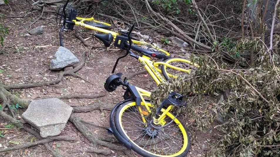 Polícia encontra bicicletas de uso compartilhado danificadas e abandonadas em matagal