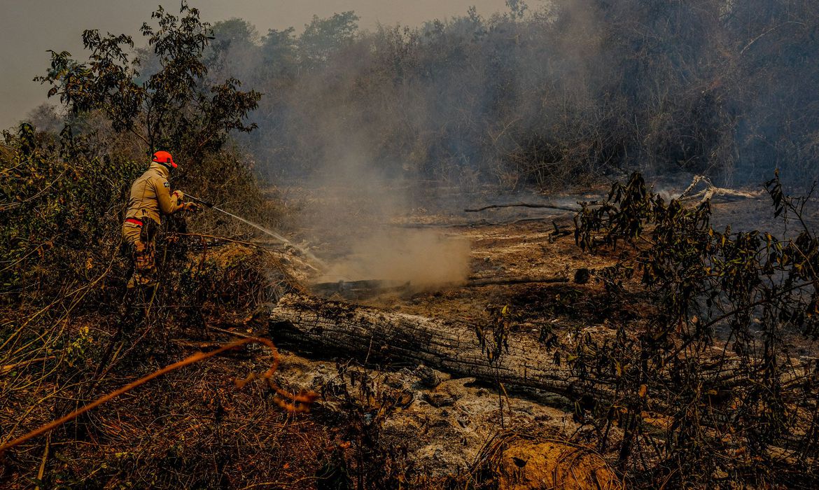 Amazônia tem recorde de queimadas e pior agosto em 12 anos, diz Inpe