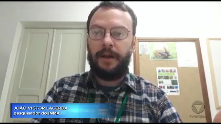 Nova espécie de anfíbio descoberta no ES