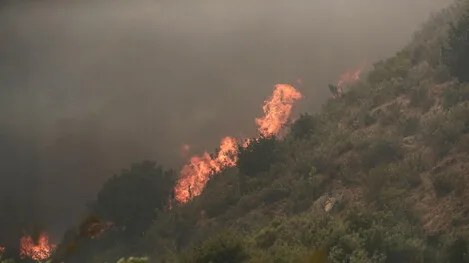 Ao menos 51 pessoas morrem no Chile devido a incêndios florestais