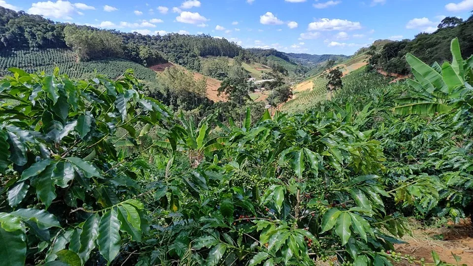 Como fica a agricultura capixaba com o "Estado de Alerta" para seca em vigor