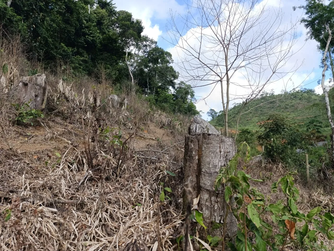 Idaf usa a tecnologia em operação contra o desmatamento em Guarapari