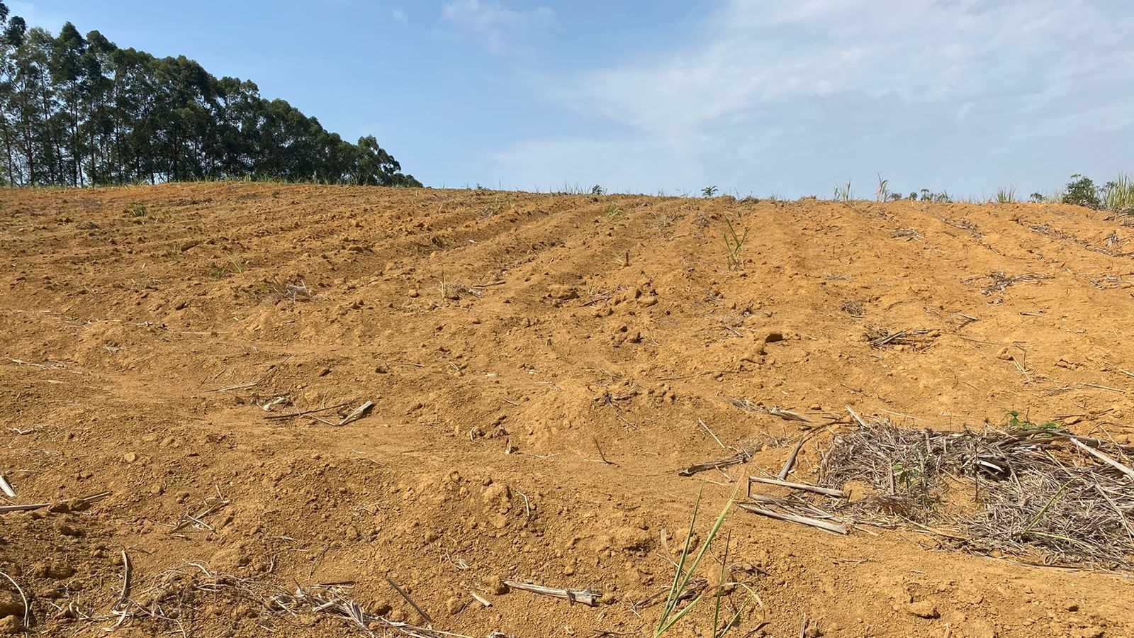 Itapemirim decreta situação de emergência por falta de chuva