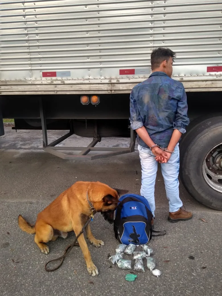 Homem é preso com mais de 220 buchas de maconha em ônibus da Prefeitura de Itarana