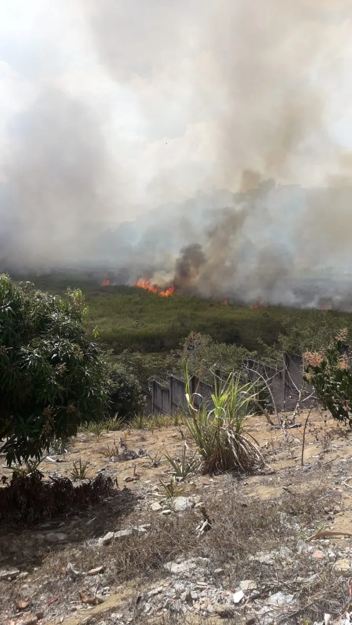 VÍDEO | Incêndio queima área equivalente a 10 campos de futebol na Serra