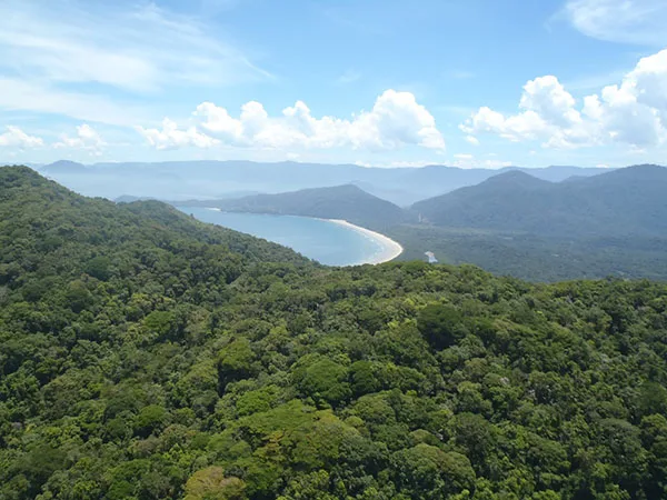 Brasil deve recuperar 25 milhões de hectares de vegetação nativa