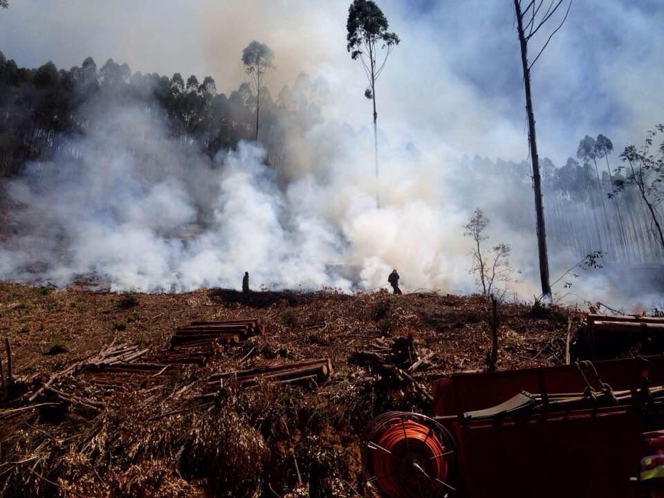 Bombeiros combatem incêndio florestal de grandes proporções no interior de Baixo Guandu