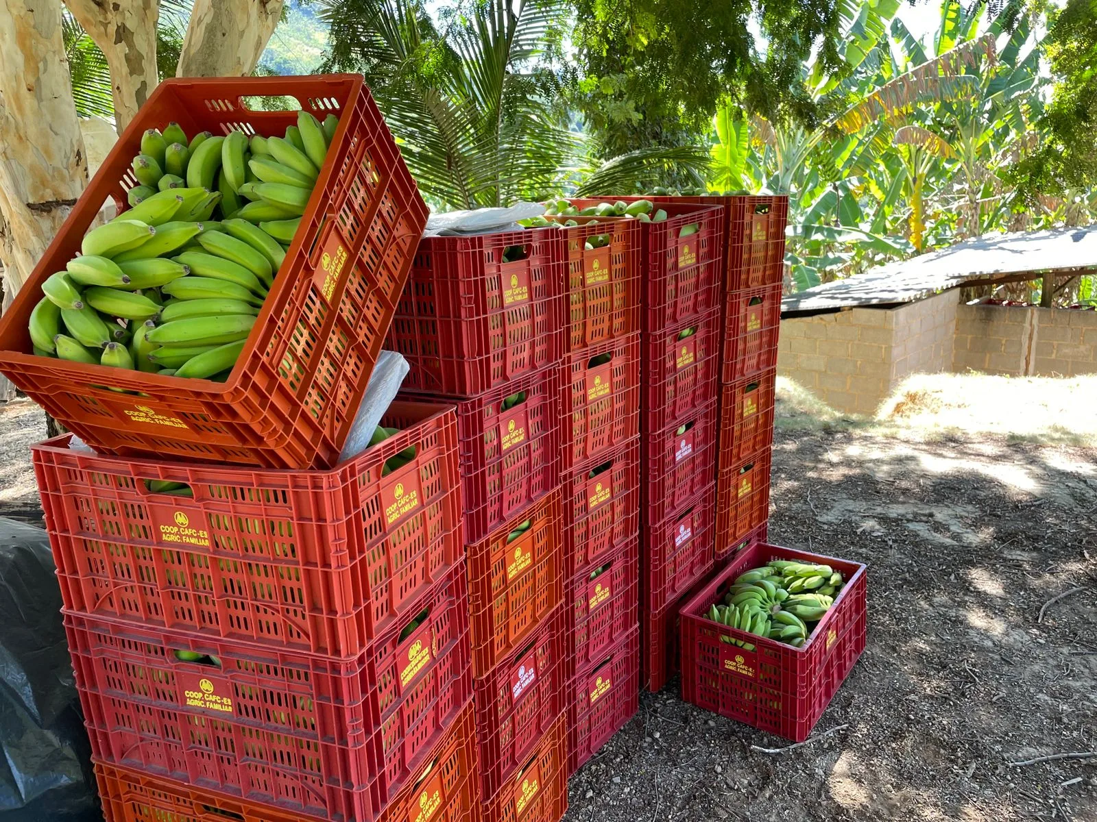 Diário de Bordo: Cariacica tem potencial na indústria, agronegócio e turismo