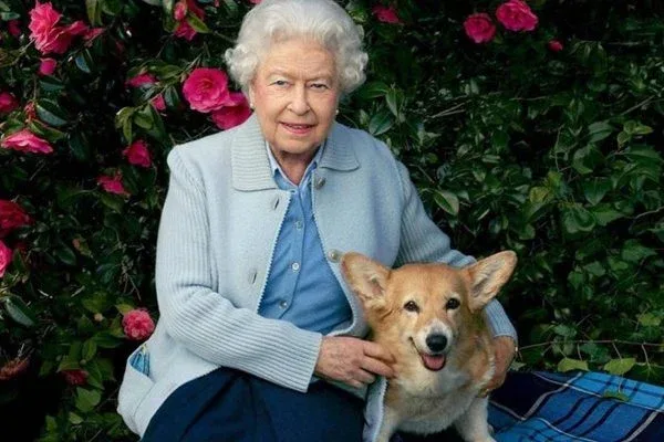 Morre filhotinho de cachorro que consolou Rainha Elizabeth II durante a internação de príncipe Philip