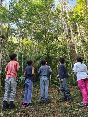 Projeto oferece “banho de floresta” para crianças e jovens em Juquitiba