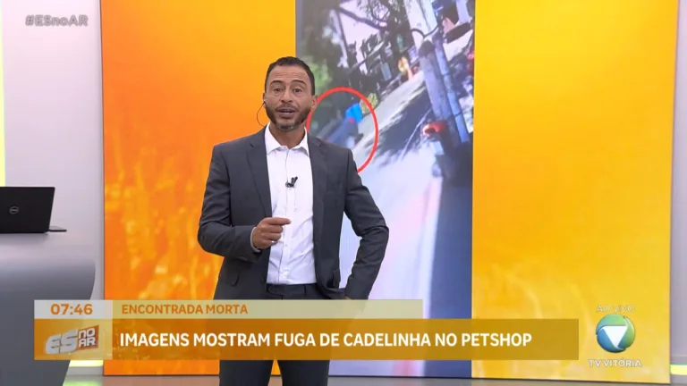 Imagens mostram fuga de cadelinha no petshop