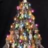 Grupo prepara árvore de Natal para homenagear cães resgatados em rinha