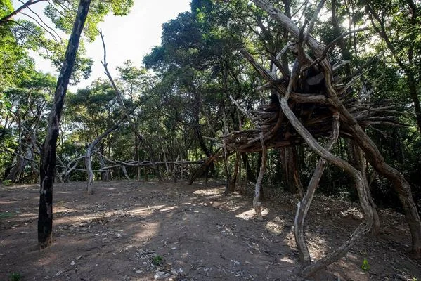 Exposição Cosmogonia Inventada traz obras do artista Rafael Mattos em Altamira