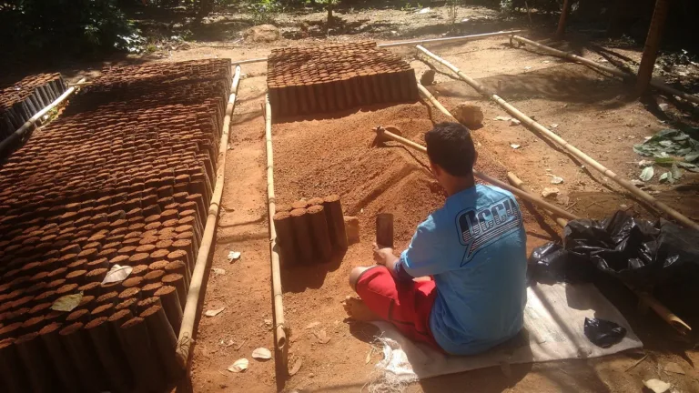 Mudas e sementes serão distribuídas para produtores em Mimoso do Sul para amenizar a crise hídrica