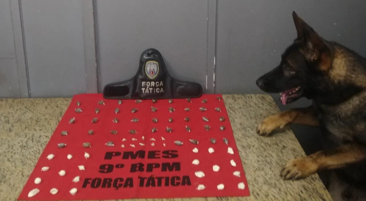 Cão farejador Messi encontra drogas em Cachoeiro