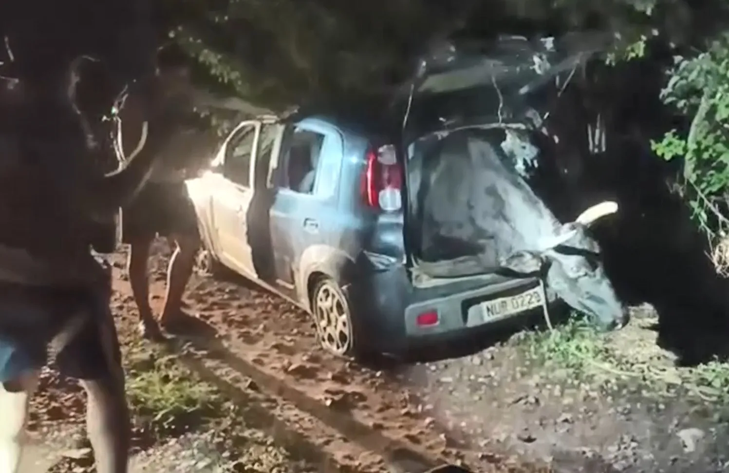 VÍDEO | Boi roubado é resgatado de porta-mala de Fiat Uno