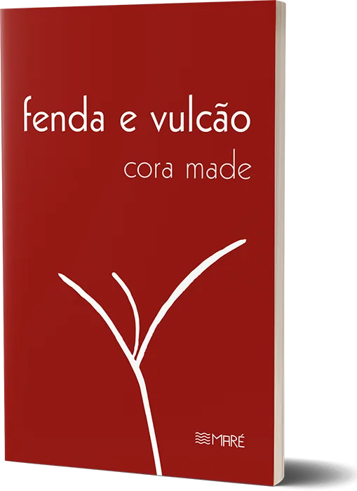 'Fenda e vulcão', de Cora Made