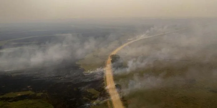 Entidades e personalidades assinam carta em defesa do Pantanal