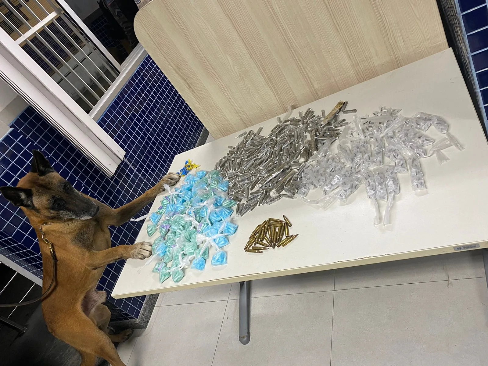 Mais de mil pinos de cocaína são apreendidos em Vila Velha