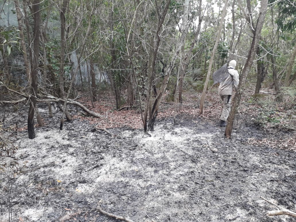 Incêndio destrói área de vegetação na Barra do Jucu