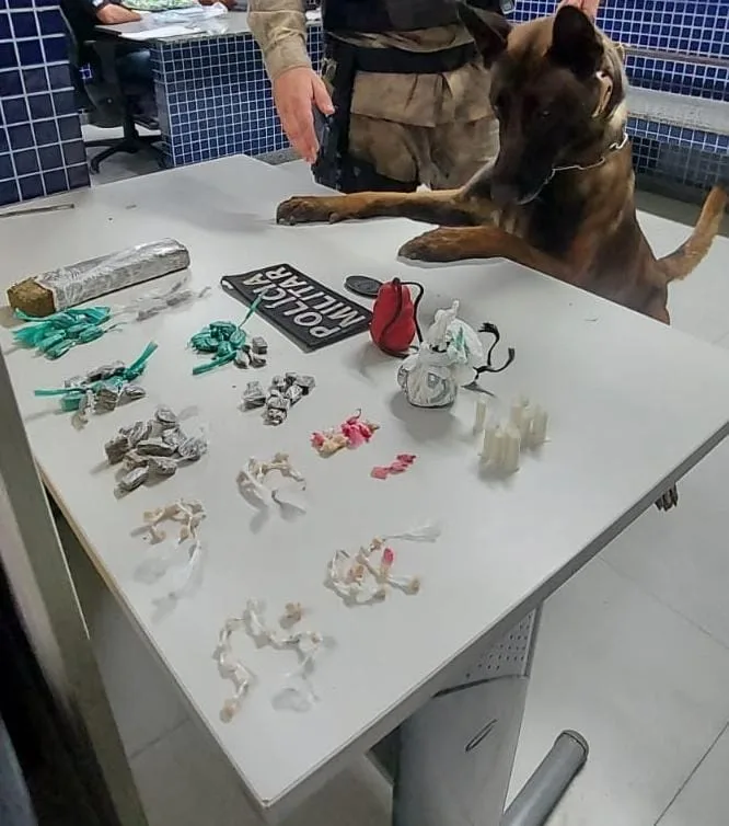 Cães farejadores da PM encontram drogas em bairro de Vila Velha