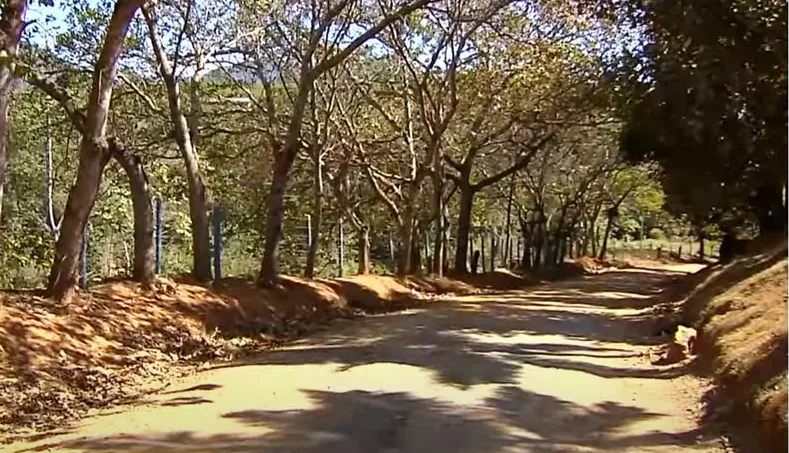 Motorista de aplicativo é agredida, esfaqueada e tem carro roubado na Serra