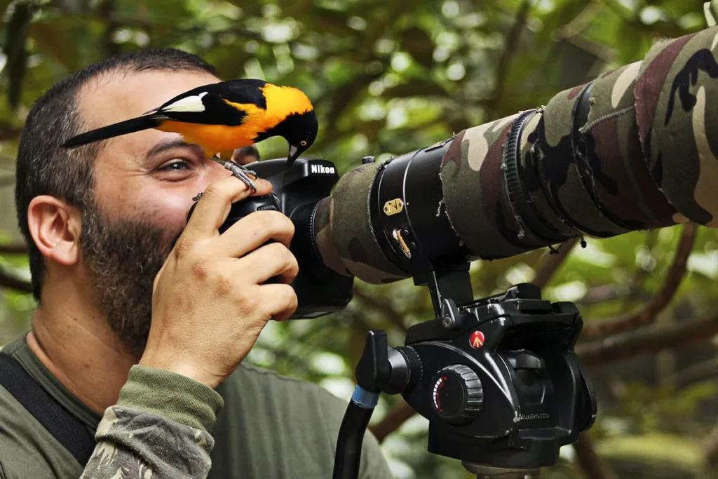 No instante mágico da captura, Leonardo Merçon alinha sua visão à natureza. Um corrupião, confidente momentâneo, compartilha o momento perfeito antes do clique. 📸🍃