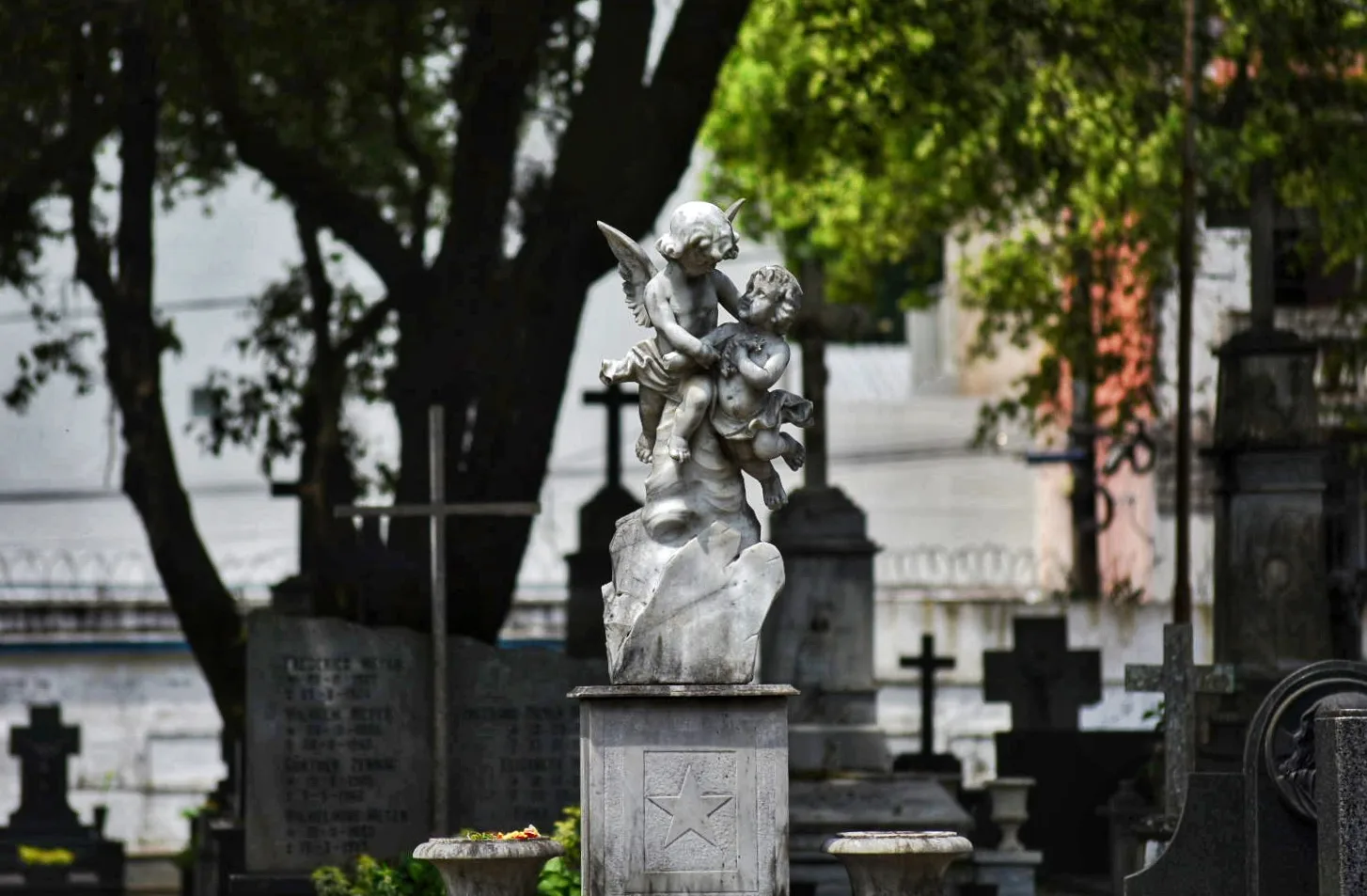 De horário antecipado a entrega de flores: veja programação nos cemitérios no Dia de Finados