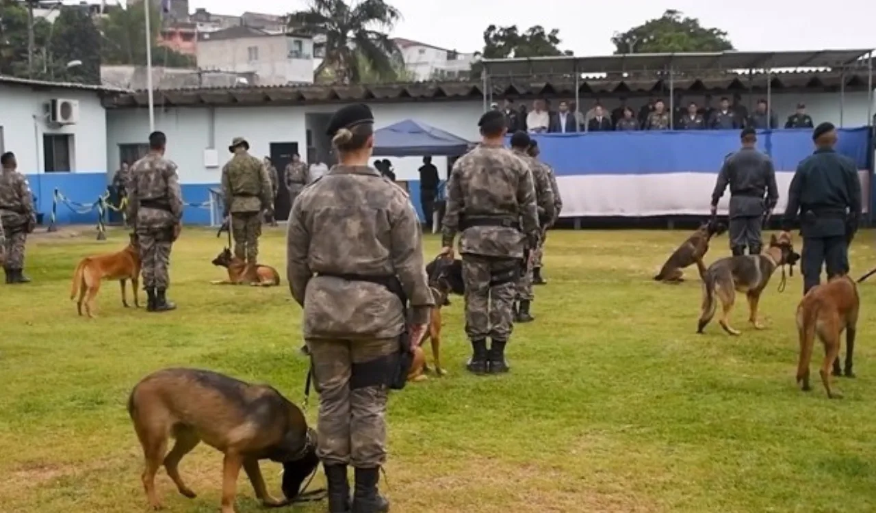 Cão farejador morre durante treinamento policial em Cariacica e PM vai investigar