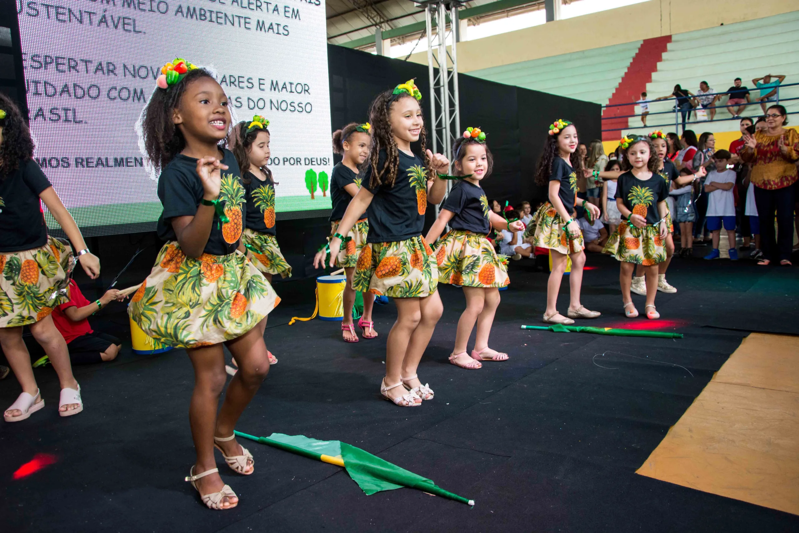 Mostra Cultural com tema ambiental será neste sábado em Cachoeiro