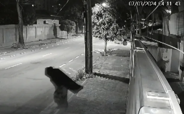 VÍDEO | Bandido invade distribuidora de bebidas em Vitória e sai carregando TV nas costas