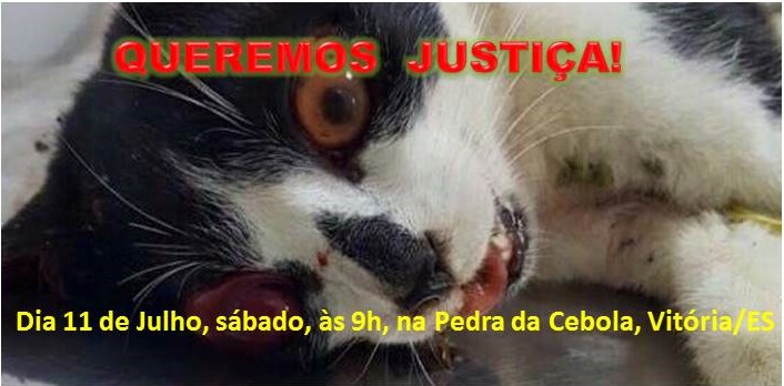 Apelo contra a violência aos animais