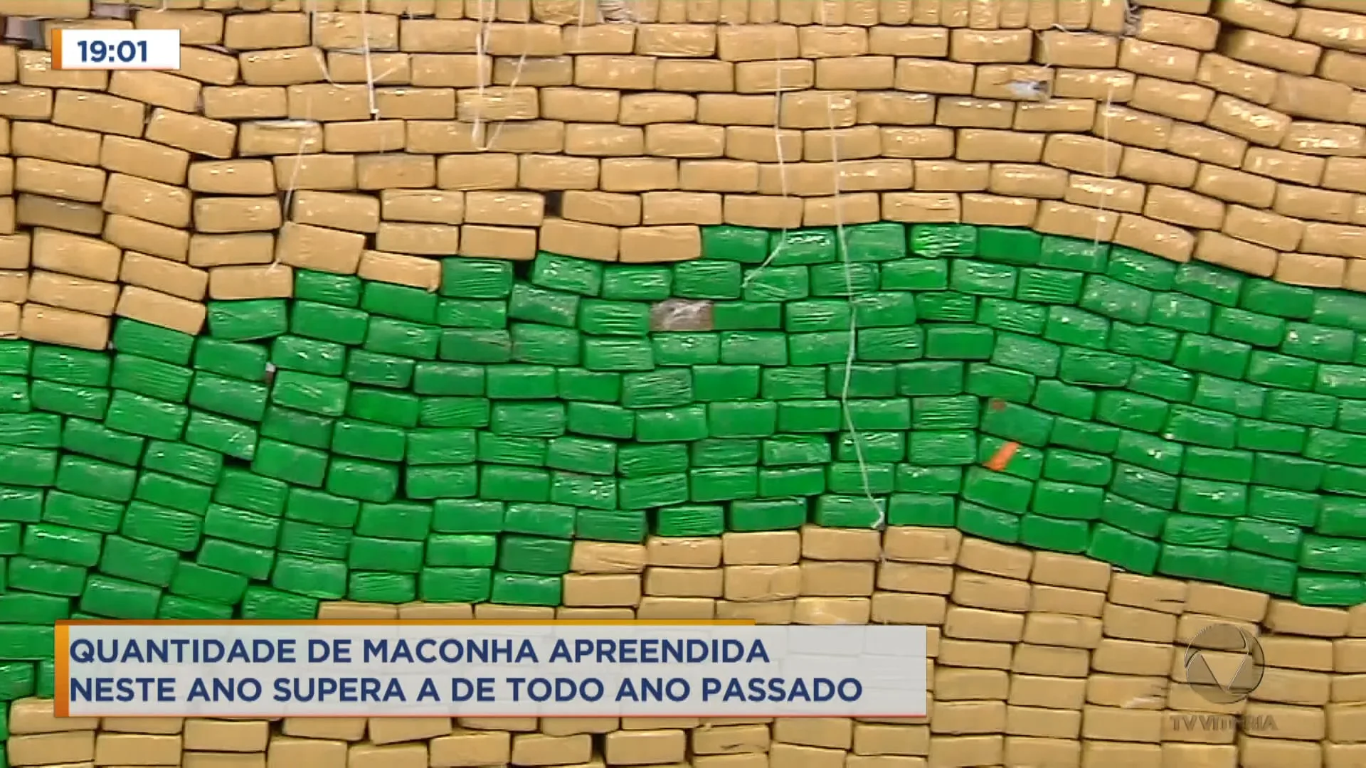 Quantidade de maconha apreendida neste ano supera a de todo ano passado