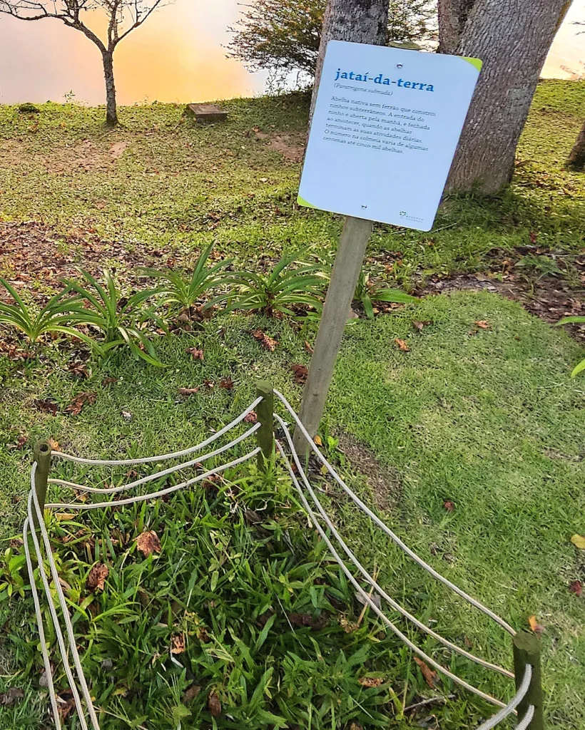 Fotografia da placa informativa na Reserva Águia Branca, que marca o local do ninho das abelhas jataí-da-terra, enfatizando a importância da educação ambiental.