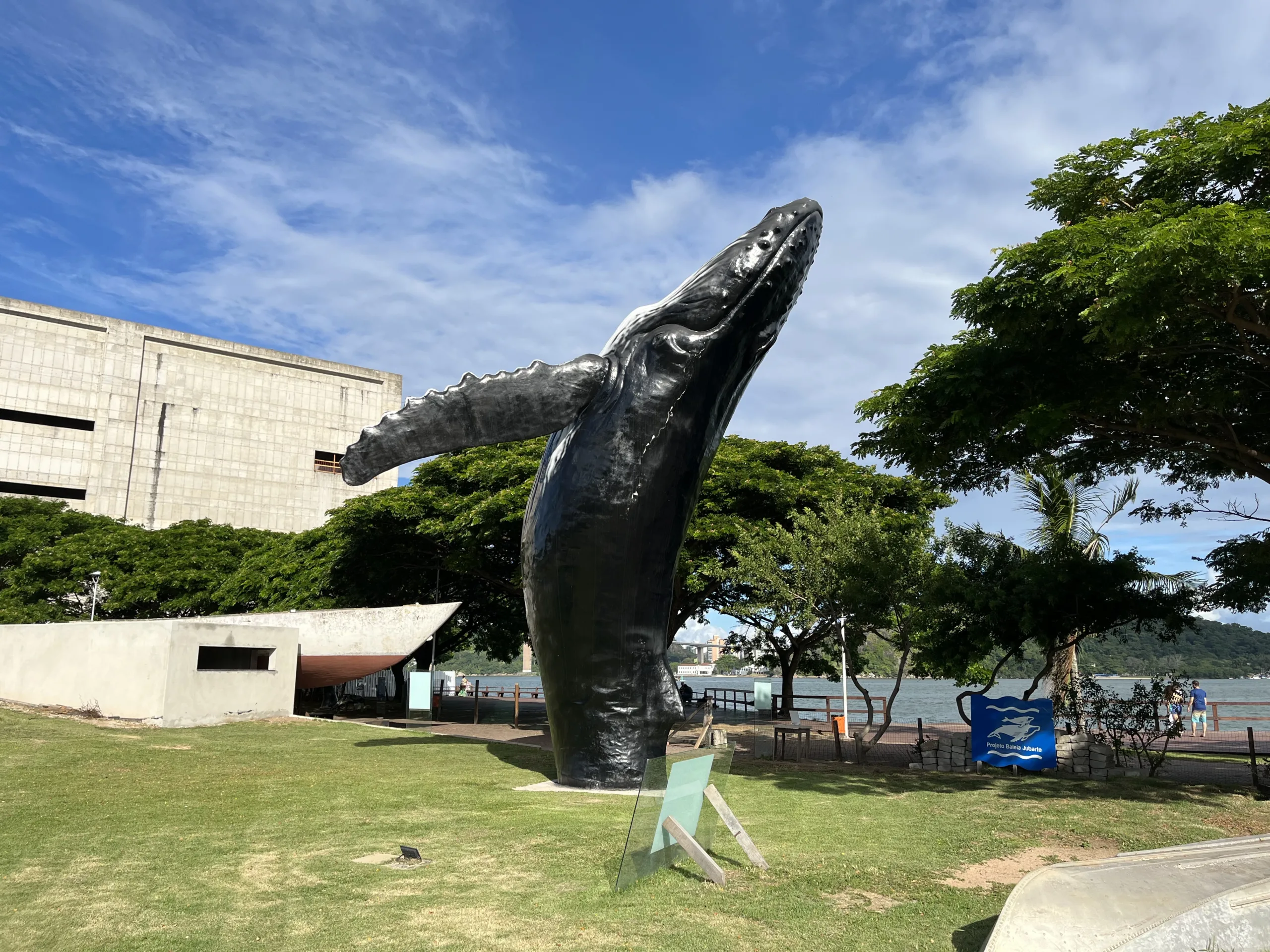 Projeto Tamar e Instituto Baleia Jubarte ajudam na preservação de animais marinhos. Veja como visitar