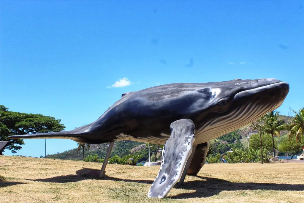 Espaço para conscientização da vida marinha junta conhecimento e lazer em Vitória