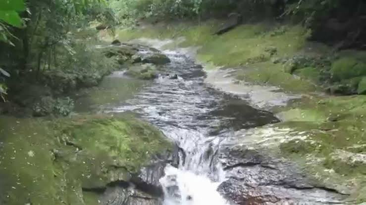 Guarda civil morre ao fazer trilha em cachoeira; mãe continua desaparecida