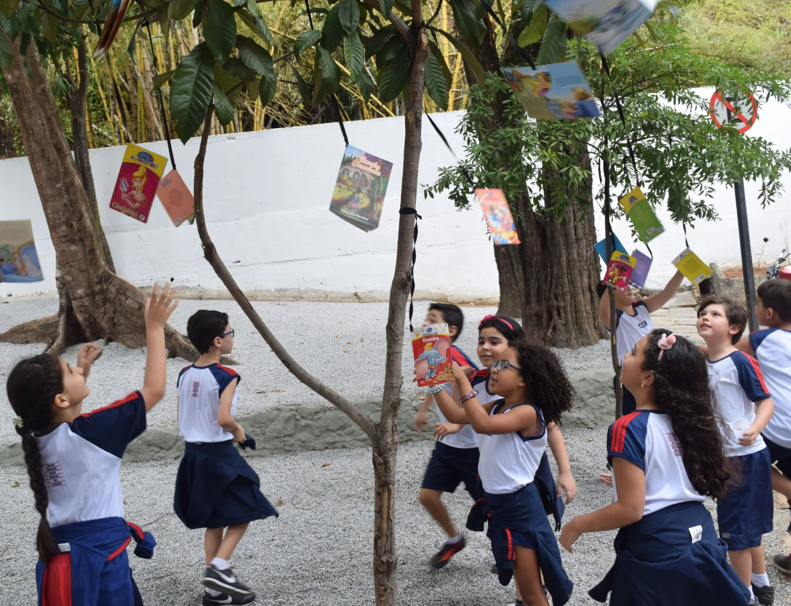 Bienal Rubem Braga: projeto Pé de Livros inicia ações para evento em 2020