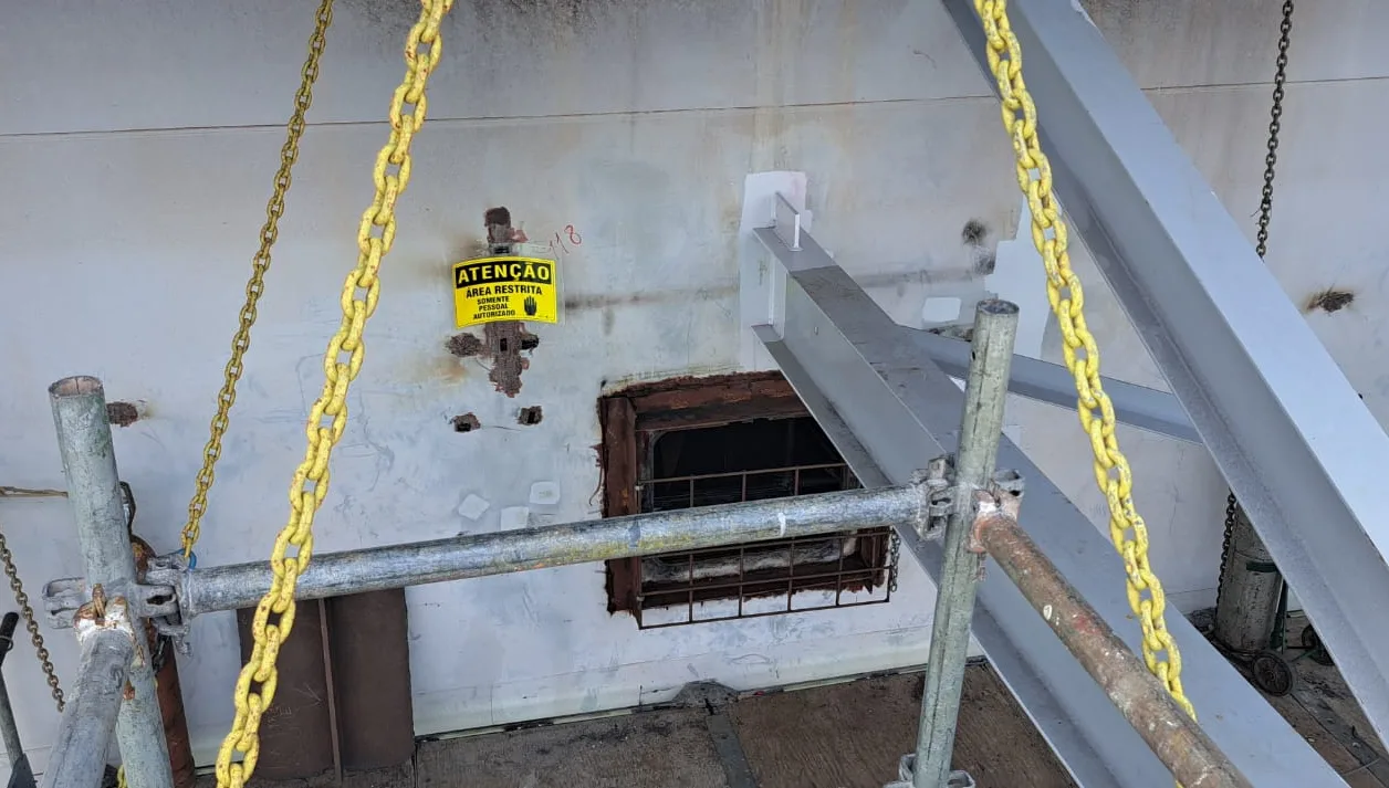 Gato que mora na Terceira Ponte vira "mascote" durante obra