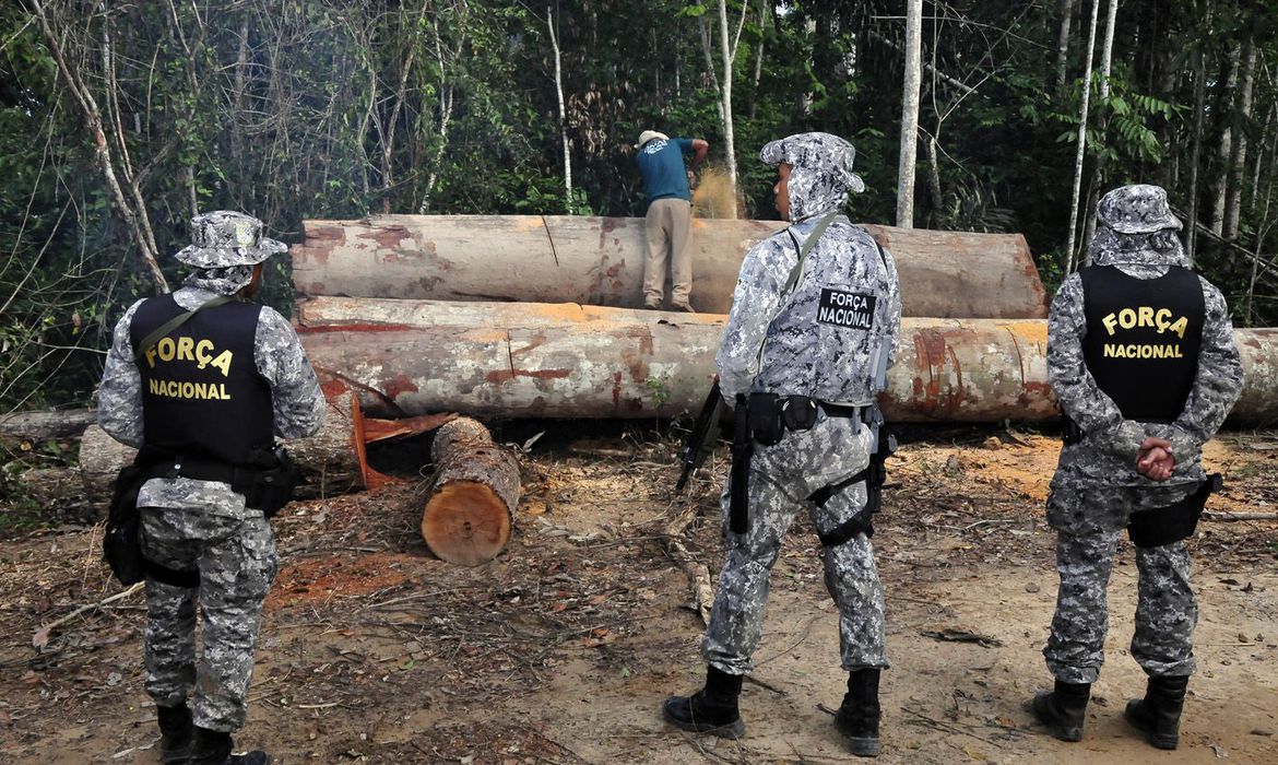 Justiça autoriza emprego da Força Nacional em ações do Ibama na Amazônia Legal