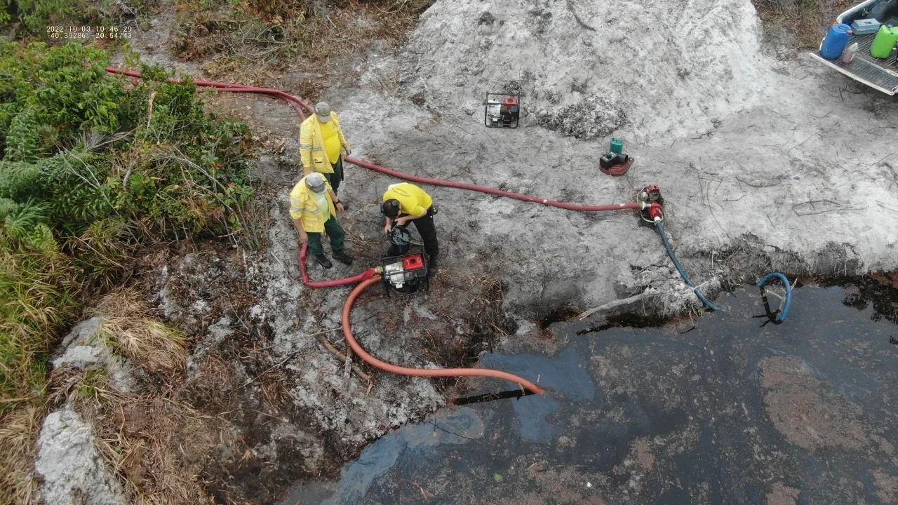 Mesmo sem chamas: chuvas não cessaram incêndio no Parque Estadual Paulo César Vinha