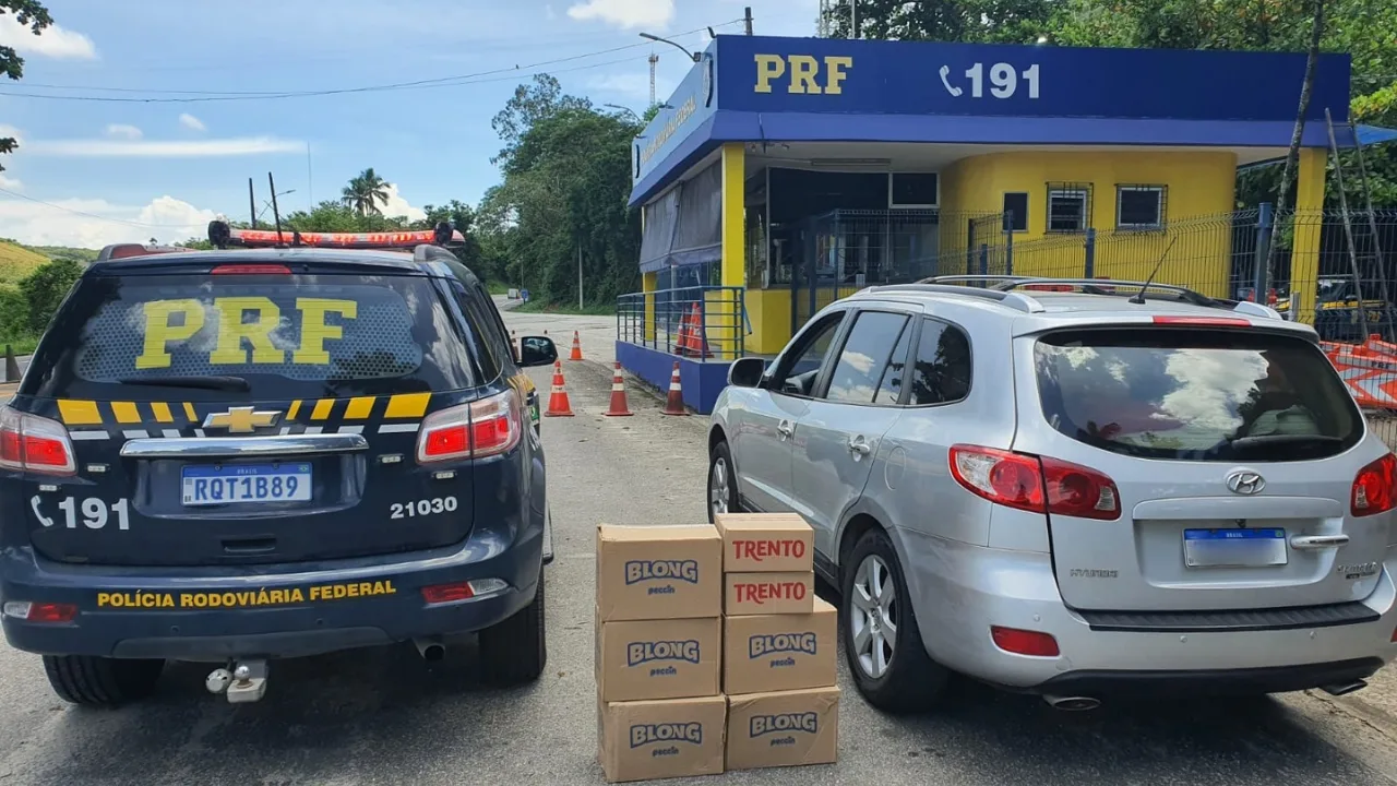 PRF recupera cerca de 5 mil chicletes e chocolates saqueados de caminhão na BR-101