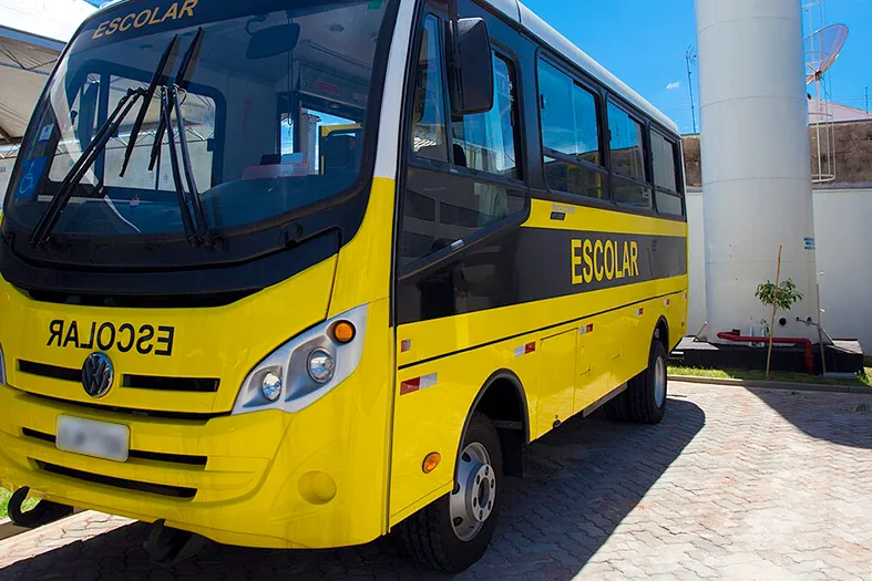 Menina atropelada após sair de ônibus escolar será indenizada no ES