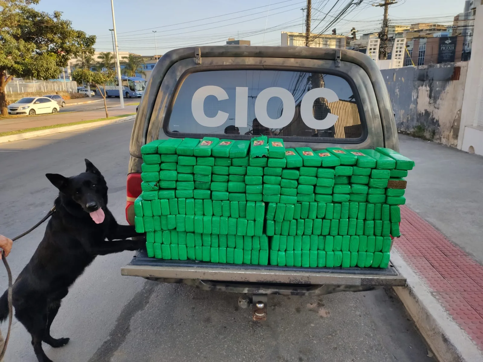 Foto: Divulgação/ Polícia Militar