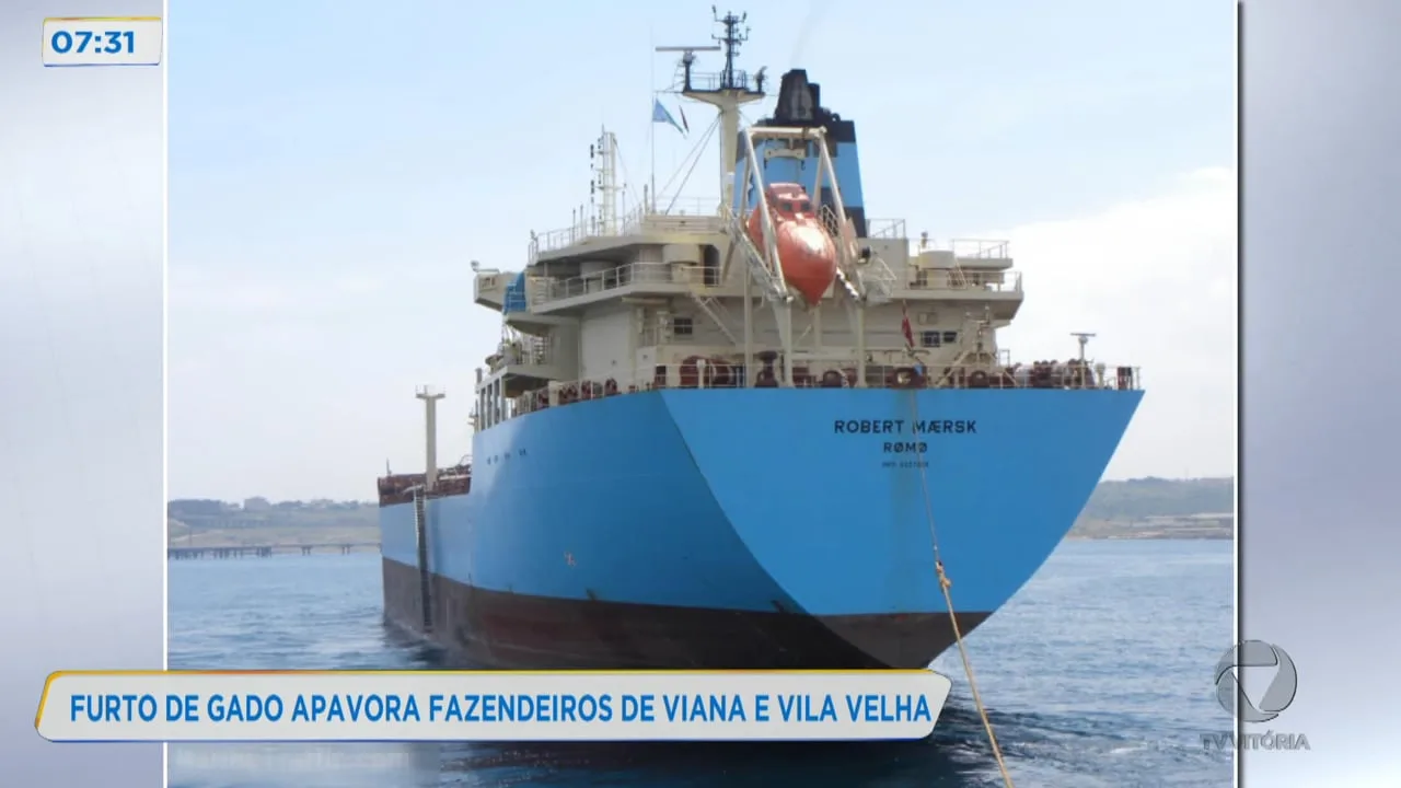 Navio isolado em VV após tripulantes testarem positivo para covid-19