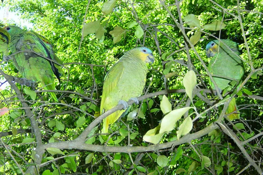 Foto: Secom/Felipe Reis