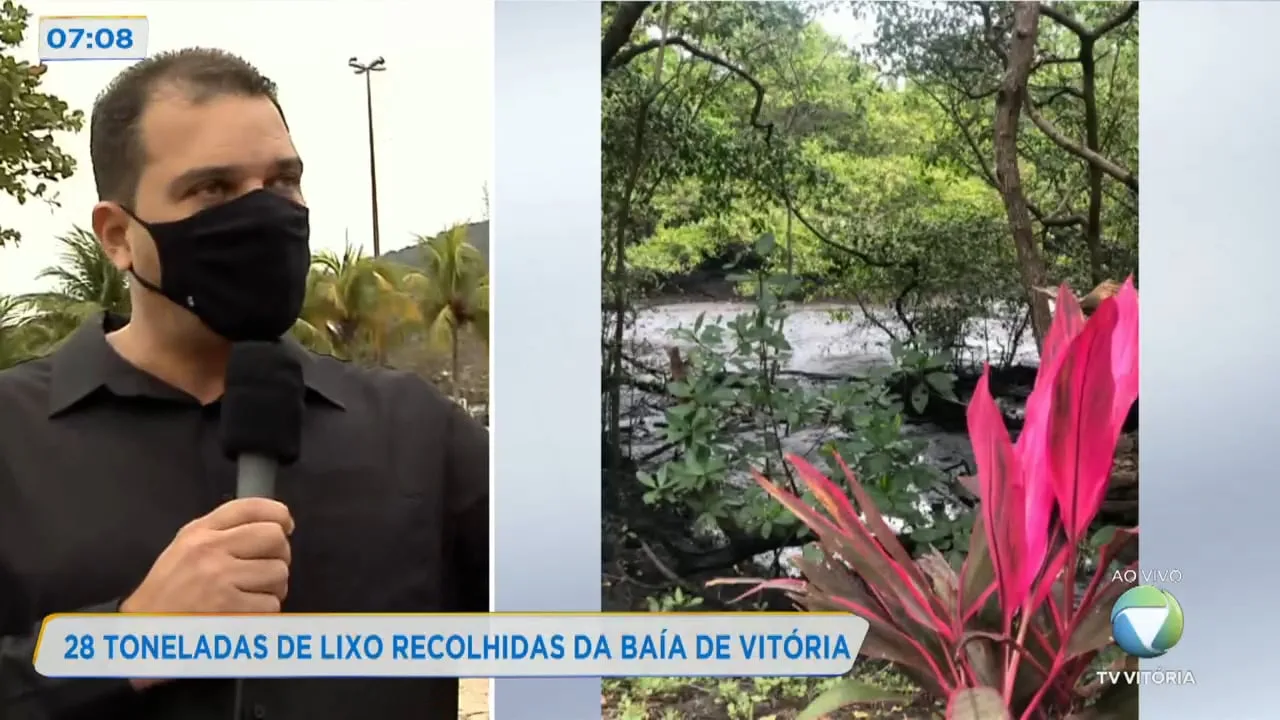 Cerca de 28 toneladas de lixo são recolhidas da baía de Vitória